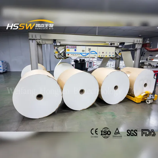 PE /PE 코팅지를 사용한 식품 포장 재료